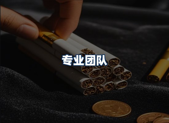 专业团队